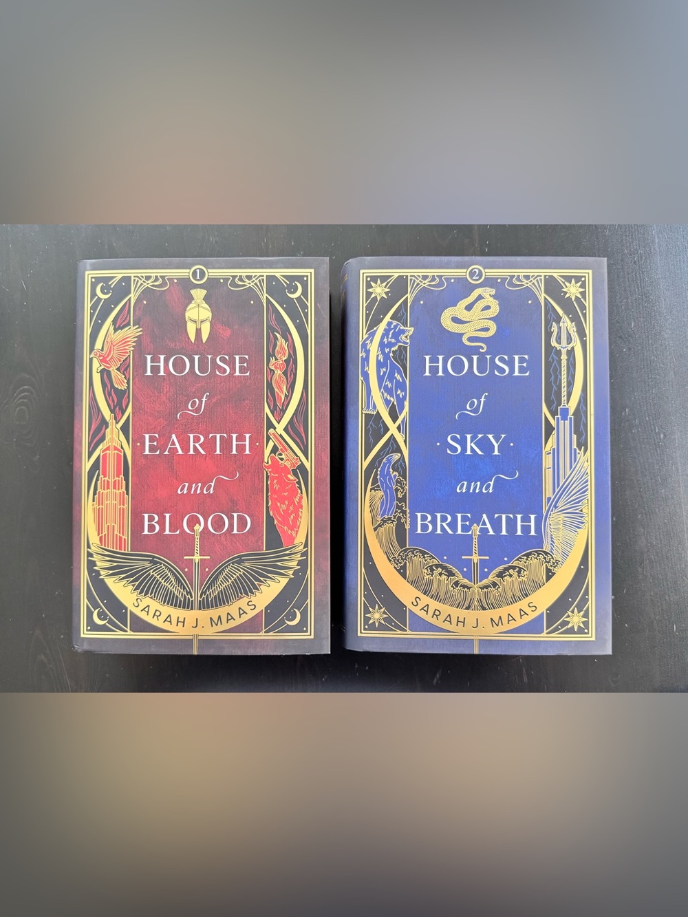 Fairyloot Crescent City duology by Sarah J Maas